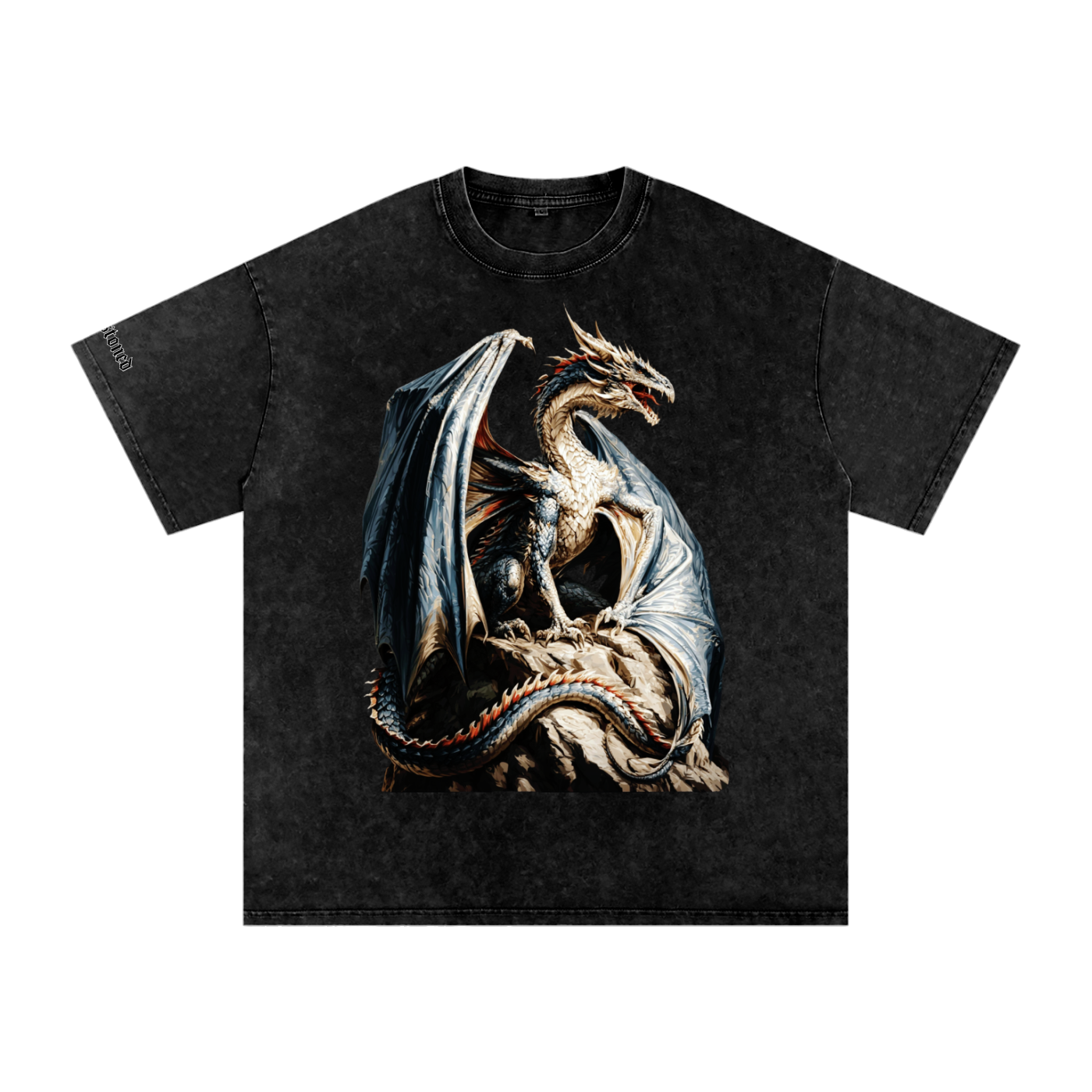 Draco Oversized Tee